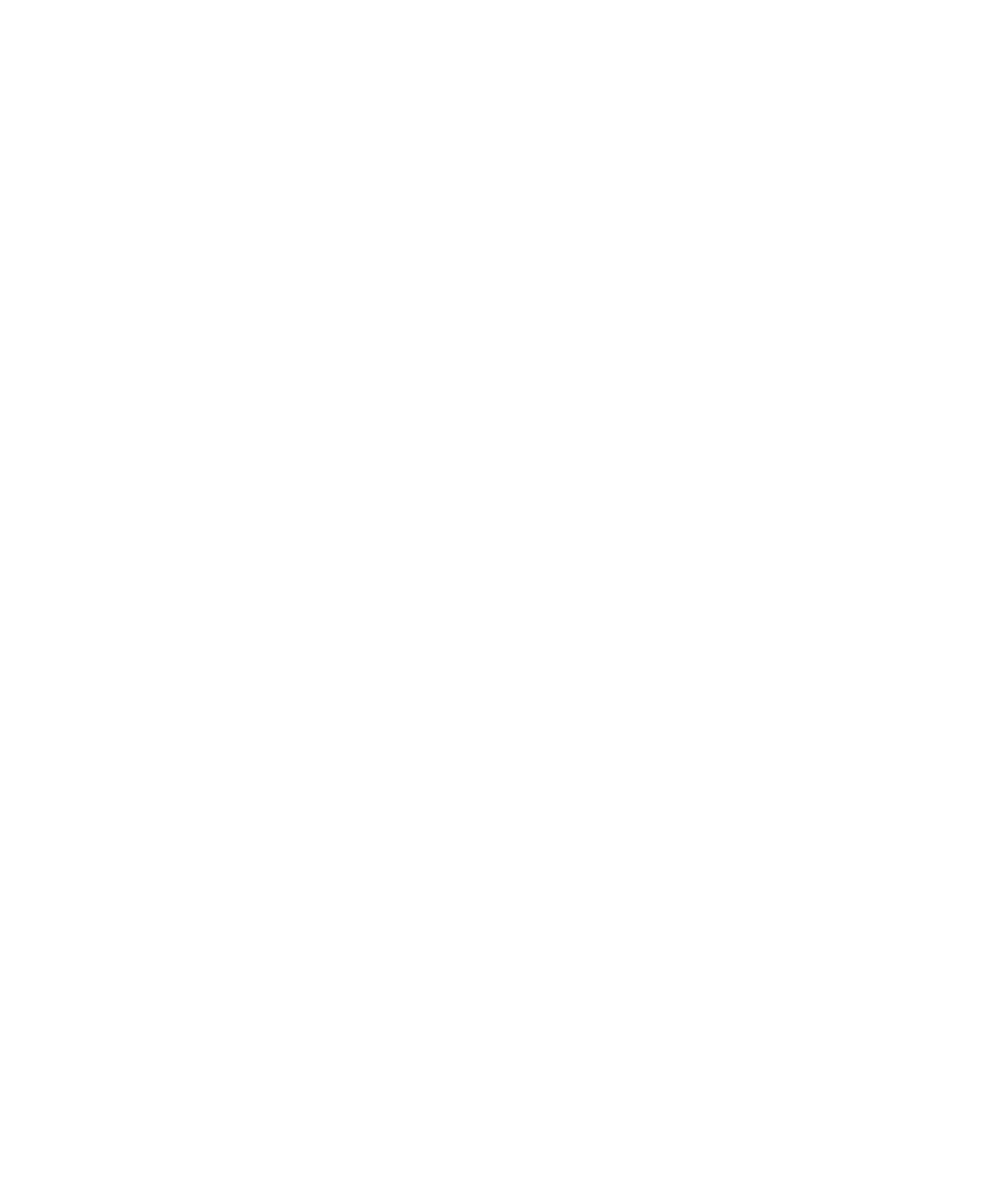 program